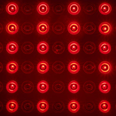 OxyRevo Red Light Therapy Add-On (Hard)